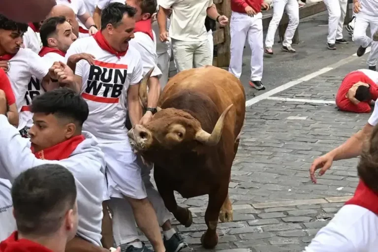 FOTOGRAFÍA. PAMPLONA (NAVARRA) REINO DE ESPAÑA, 11 DE JULIO DE 2025. Un mozo evita a uno de los toros de la ganadería Jandilla durante el quinto encierro de los Sanfermines 2025. Efe