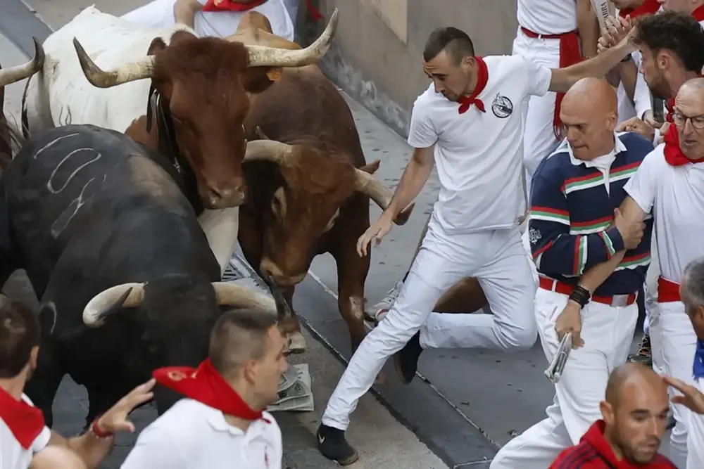 FOTOGRAFÍA. PAMPLONA (NAVARRA) REINO DE ESPAÑA, 11 DE JULIO DE 2025. Un mozo cae ante los toros de la ganadería Jandilla durante el quinto encierro de los Sanfermines 2025 este viernes en Pamplona. Efe