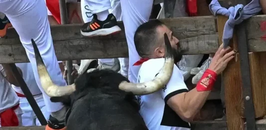 FOTOGRAFÍA. PAMPLONA (NAVARRA) REINO DE ESPAÑA, 08 DE JULIO DE 2025. Un toro de la ganadería Cebada Gago embiste a un mozo durante el segundo encierro de los Sanfermines. Efe