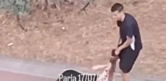 FOTOGRAFÍA. PARLA 8COMUNIDAD DE MADRID) REINO DE ESPAÑA, 17 D EJULIO DE 2025. Uno de los soldados de Marruecos, conocidos con el eufemismo "Menores Extranjeros No Acompañados (MENA)", es captado por un vecino atacando, agrediendo, robando, arrastrando, profiriendo patada en la cara de una joven mujer española y huyendo con el botín en plena calle de "Parla", en la Comunidad de Madrid (Reino de España). Lasvocesdelpueblo (Ñ Pueblo)