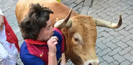 FOTOGRAFÍA. PAMPLONA (NAVARRA) REINO DE ESPAÑA, 09 DE JULIO DE 2025. Un toro de la ganadería Álvaro Núñez roza a uno de los mozos durante el tercer encierro de los Sanfermines 2025, este miércoles en Pamplona, Navarra (Reino de España). Efe