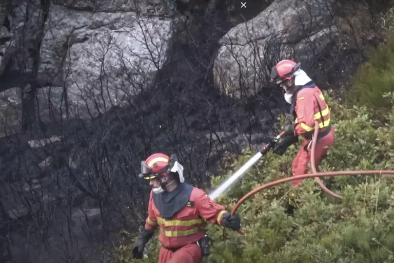 FOTOGRAFÍA. PORTO (ZAMORA) CASTILLA Y LEÓN (REINO DE ESPAÑA), 23 DE AGOSTO DE 2025. Efectivos de la Unidad Militar de Emergencias (UME) realiza trabajos en el incendio forestal de Porto (Zamora). Ministerio de Defensa/Efe