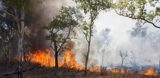 FOTOGRAFÍA. REINO DE ESPAÑA, 08 DE AGOSTO DE 2025. Protección Civil y Emergencias mantiene con una "alta probabilidad la alerta por altas temperaturas hasta la próxima semana" en España. Las autoridades españolas lanza una alerta por altas temperaturas en casi toda la península y en la Islas Canarias. Lasvocesdelpueblo (Ñ Pueblo)