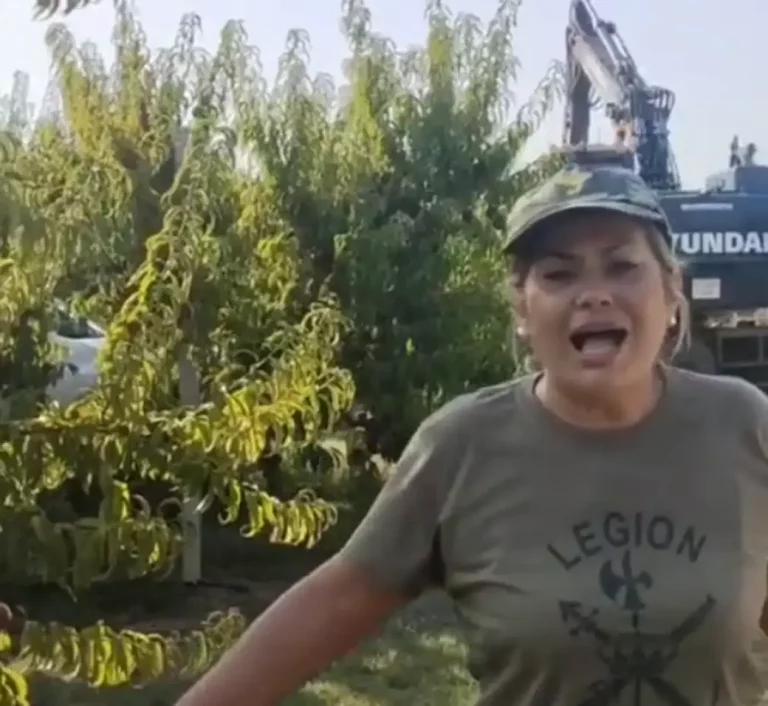 FOTOGRAFÍA. ALCARRÁS 8LÉRIDA) CATALUÑA) REINO DE ESPAÑA, 12 DE AGOSTO DE 2025. La presidente de la plataforma de agricultores y ganaderos de España 6F, la obrera española Lola Guzmán, moviliza al pueblo en en el municipio español de Alcarrás (Lérida) Cataluña para expulsar de la finca de una víctima, don Carmelo, a los brazos ejecutores de los Fondos Buitres de la élite corrupta climática, quienes ya habían arrancado hasta un total de "110 árboles frutales, pero con la fruta en el árbol" listas para la recogida para que los españoles no pueden pasar hambre, para implantar la hambre: las placas solares sin el consentimiento ni siquiera del dueño de la finca, quien se negó a firma una compensación de "1.500 euros". Lasvocesdelpueblo (Ñ Pueblo)