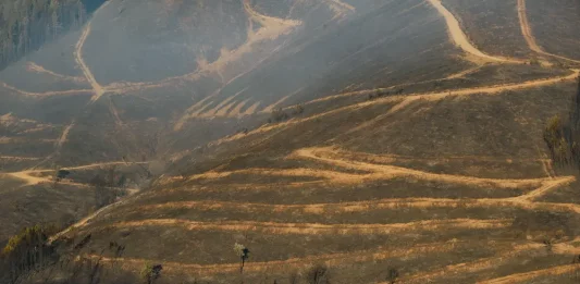 FOTOGRAFÍA. LUGO (GALICIA) REINO DE ESPAÑA, 26 DE AGOSTO DE 2025. Terreno calcinado por el incendio en Pobra de Brollón-Quiroga (Lugo). Efe