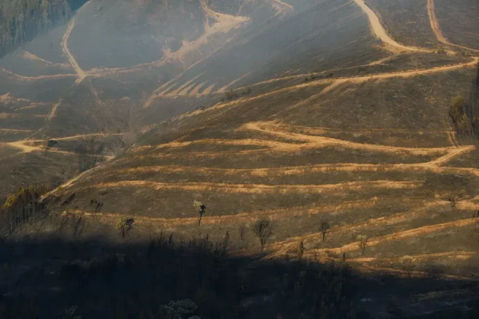 FOTOGRAFÍA. LUGO (GALICIA) REINO DE ESPAÑA, 26 DE AGOSTO DE 2025. Terreno calcinado por el incendio en Pobra de Brollón-Quiroga (Lugo). Efe