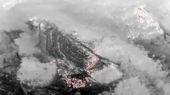 Los incendios frenan su progresión en Galicia,incendios España, incendios, (2) VILABOA (PONTEVEDRA) GALICIA (REINO DE ESPAÑA, 23 DE AGOSTO DE 2025. Imagen tomada por un dron con cámara térmica, declarado el pasado jueves 21 de agosto de 2025, que muestra la zona quemada en el incendio de Vilaboa (Pontevedra). El Gobierno de la Junta de Galicia, por el Partido Popular (PP), ha desactivado el nivel 2 de emergencia en el incendio forestal de Vilaboa (Pontevedra), pero mantiene esa situación en la provincia de Orense, donde los grandes incendios, según las estimaciones de la Consejería de Medio Rural, han frenado su progresión. Ministerio de Defensa del Gobierno de España/Efe