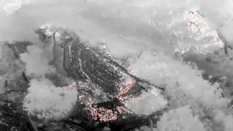 VILABOA (PONTEVEDRA) GALICIA (REINO DE ESPAÑA, 23 DE AGOSTO DE 2025. Imagen tomada por un dron con cámara térmica, declarado el pasado jueves 21 de agosto de 2025, que muestra la zona quemada en el incendio de Vilaboa (Pontevedra). El Gobierno de la Junta de Galicia, por el Partido Popular (PP), ha desactivado el nivel 2 de emergencia en el incendio forestal de Vilaboa (Pontevedra), pero mantiene esa situación en la provincia de Orense, donde los grandes incendios, según las estimaciones de la Consejería de Medio Rural, han frenado su progresión. Ministerio de Defensa del Gobierno de España/Efe