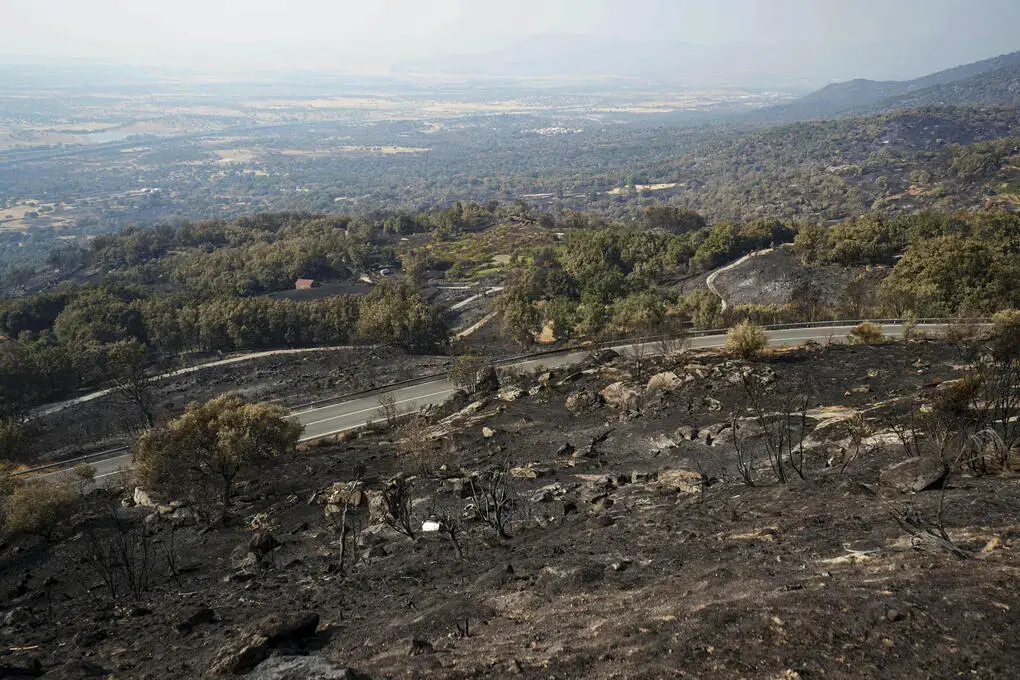 FOTOGRAFÍA. CABEZABELLOSA (CÁCERES) EXTREMADURA (REINO DE ESPAÑA), 21 DE AGOSTO DE 2025. Áreas calcinadas en la localidad cacereña de Cabezabellosa por el incendio de Jarilla (Cáceres), este jueves 21 de agosto de 2025, cuando los incendios forestales siguen azotando a España. Efe