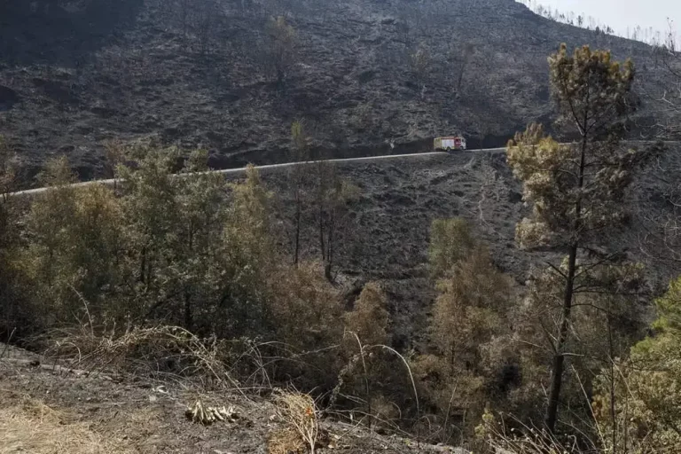 Mejores perspectivas para controlar incendios graves