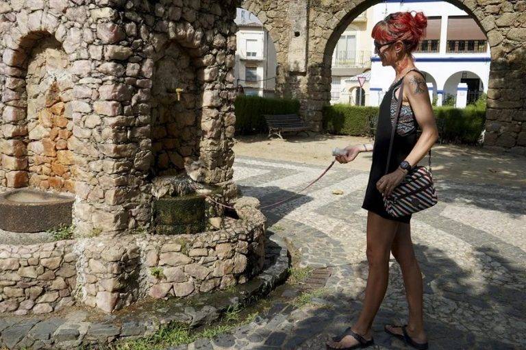 FOTOGRAFÍA. PLASENCIA (CÁRCERES) EXTREMADURA (REINO DE ESPAÑA), 05 DE AGOSTO DE 2025. Un perro se refresca en una fuente en Plasencia, este martes. Efe
