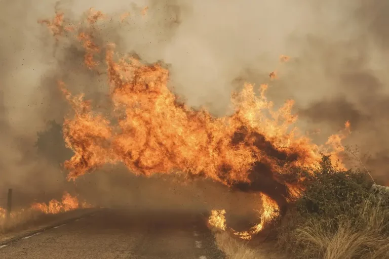 FOTOGRAFÍA. CIPÉREZ  (SALAMANCA) CASTILLA Y LEÓN (REINO DE ESPAÑA), 22 DE AGOSTO DE 2025. Detalle de una imagen del incendio en las proximidades de Cipérez (Salamanca), hace una semana.Efe