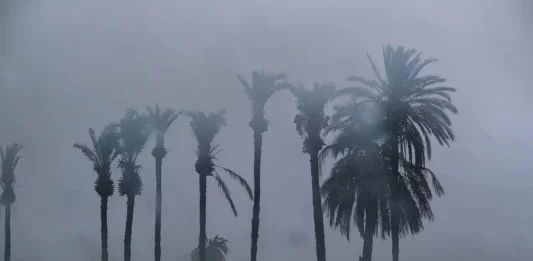 FOTOGRAFÍA. ELCHE (ALICANTE) COMUNIDAD VALENCIANA (REINO DE ESPAÑA), 10 D EOCTUBRE DE 2025. Fuerte tormenta registrada este jueves en La Foia, en Elche (provincia Alicante) Comunidad Valenciana, en el Reino de España, el jueves 10 de octubre de 2025. Efe