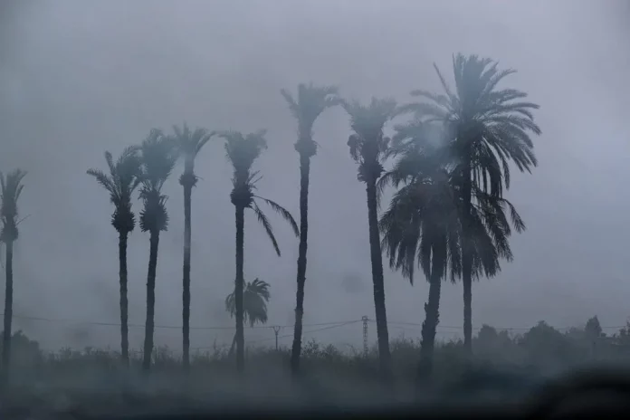 Aviso rojo por lluvias en Región de Murcia y Comunidad Valenciana FOTOGRAFÍA. ELCHE (ALICANTE) COMUNIDAD VALENCIANA (REINO DE ESPAÑA), 10 D EOCTUBRE DE 2025. Fuerte tormenta registrada este jueves en La Foia, en Elche (provincia Alicante) Comunidad Valenciana, en el Reino de España, el jueves 10 de octubre de 2025. Efe