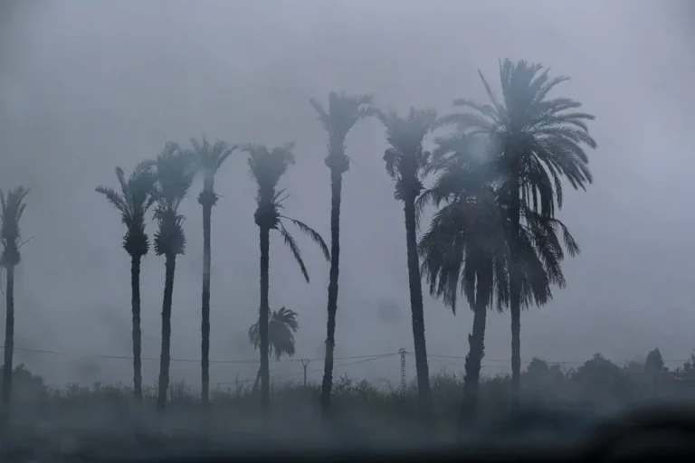 FOTOGRAFÍA. ELCHE (ALICANTE) COMUNIDAD VALENCIANA (REINO DE ESPAÑA), 10 D EOCTUBRE DE 2025. Fuerte tormenta registrada este jueves en La Foia, en Elche (provincia Alicante) Comunidad Valenciana, en el Reino de España, el jueves 10 de octubre de 2025. Efe