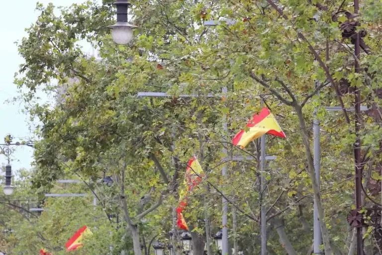 FOTOGRAFÍA. BARCELONA (CATALUÑA) REINO DE ESPAÑA, 12 DE OCTUBRE DE 2025. Las entidades catalanas Moviment Cívic d'Espanya i Catalans y plataforma Cataluña Suma por España han movilizado a los vecinos de Cataluña hoy por las calles del centro de Barcelona, desde La Pedrera (Paseo de Gracia) sobre las 11:30 horas de la mañana hasta la Plaza Cataluña de Barcelona, las intervenciones de los portavoces de las entidades adheridas a la convocatoria y de la organización finalizaron que el himno Nacional de España, cediendo toda la Plaza Cataluña y el Paseo de Gracia a la parte folclórica de la manifestación, con protagonista los grupos de bailes de las patrias chicas de nuestro compatriotas hispanohablantes de Hispanoamérica. En cuanto a los políticos, una fuerte comitiva de VOX, liderada por el secretario general de VOX, Ignacio Garriga Vaz de Conceçao, quien arropó al presidente de VOX Barcelona, Joan Garriga Doménech; el coordinador de VOX en la ciudad de Barcelona y presidente del Grupo Municipal en el Ayuntamiento de Barcelona, Gonzalo de Oro-Pulido Plaza; la portavoz nacional de Sanidad, María Elisa García Fuster; la portavoz nacional de juventud, Julia Calvet Puig; entre otros. Además, el Partido Popular (PP) liderado por su presidente en Cataluña, Alejandro Fernández Álvarez; y el presidente del Grupo Municipal en el Ayuntamiento de Barcelona, Daniel Sirera Bellés; y Ciutadans Partit de la Ciudadanía Ciudadanos (Cs) liderado por su secretario nacional de Comunicación y concejal del Grupo Parlamentario de Cs en el Ayuntamiento de Santa Perpetua de Moguda​​​ (Comarca del Vallés Occidental (Barcelona), Kevin Romero Navas; se han dejado registrar durante este Día de la fiesta nacional de España por las calles catalanas. Destacar la presencia también de los hispanos homosexuales como Youtuber español, InfoVlogger (Isaac Parejo) junto a una delegación hispana de la Asociación Comando Libertad -una entidad española de "gays, lesbianas, Trans contra la tiranía WOKE" globalista, tal y como se definen desde esta organización que preside el patriota "Javier". Subrayar también la asistencia del secretario general del Sindicato para la Defensa de los Trabajadores de España SOLIDARIDAD, Jordi Albert de la Fuente Miró (Jordi de la Fuente). Lasvocesdelpueblo (Ñ Pueblo)