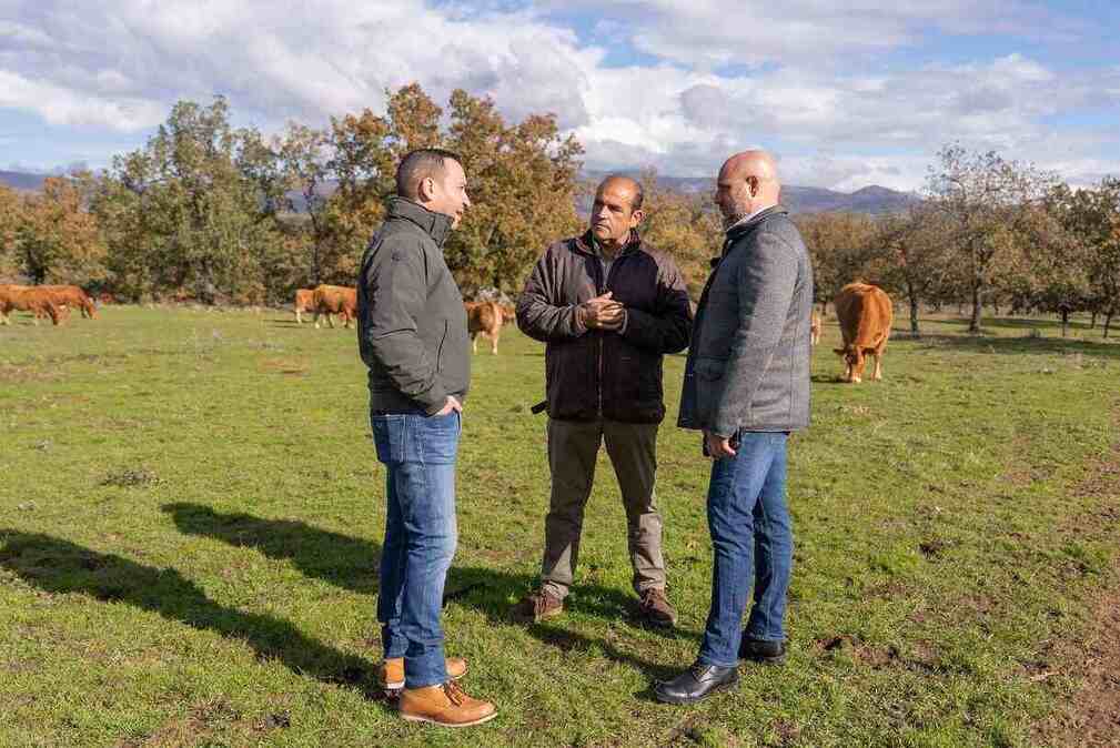 FOTOGRAFÍA. TEJEDA DEL TIÉTAR (CÁCERES) EXTREMADURA (REINO DE ESPAÑA), 30 DE NOVIEMBRE DE 2025. El candidato de VOX para presidir la Junta de Extremadura, Óscar Fernández Calle (i); acompañado de Rodrigo Javier Alonso Fernández (d), el portavoz nacional de Agricultura de VOX; registrados este domingo en Tejeda del Tiétar (Cáceres). Lasvocesdelpueblo (Ñ Pueblo)