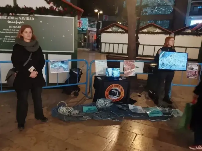 València Animal Save, Línea silenciosa en defensa de animales acuáticos en Valencia (4) FOTOGRAFÍA. VALENCIA (COMUNIDAD VALENCIANA) REINO DE ESPAÑA, 22 DE NOVIEMBRE DE 2025. Grupo de activistas de la entidad animalista valenciana "València Animal Save" han mostrado carteles e imágenes relacionadas con la industria pesquera mediante pantallas durante una "línea silenciosa" en defensa de los "animales acuáticos" hoy plaza de la Virgen de Valencia. Lasvocesdelpueblo (Ñ Pueblo)