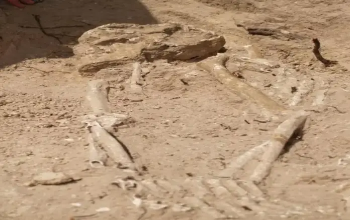 FOTOGRAFÍA. ANDALUCÍA) ESPAÑA, 29 DE DICIEMBRE DE 2025. Inhumaciones realizadas durante la investigación. Los investigados del grupo ATLAS de la Universidad de Sevilla (US), Verónica Navarrete y Luis Efrén Fernández, participan en un estudio internacional "Perspectivas genéticas e históricas sobre las inhumaciones altomedievales del dolmen de Menga, Antequera (España)". Se trata de un un estudio arqueogenómico llevado a cabo por las universidades británicas de Huddersfield y Londres (Instituto Francis Crick) y por la Universidad de Harvard (EEUU) en el que se dan a conocer datos sobre la ancestría genética de los dos varones adultos medievales enterrados en el atrio del dolmen de Menga (Antequera, Málaga) entre los siglos VIII y XI después del niño judío Jesús de Nazaret, el Cristo (periodo de la España musulmana (al-Ándalus). Lasvocesdelpueblo (Ñ Pueblo)