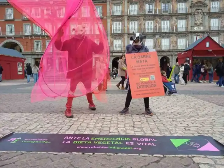 FOTOGRAFÍA. MADRID (COMUNIDAD DE MADRID) ESPAÑA, 29 DE DICIEMBRE DE 2025. Desinformación criminal del Gobierno ante holocausto animal. Rebeldes Indignadas, escisión de Rebelión Científica dedicada a la lucha contra el negacionismo de las principales causas y respuestas ante la mayor crisis de la historia, junto a la nueva colectiva Gaia no se Ríe, lanzan una campaña y serie de acciones para denunciar el delirio del consumo de productos animales y del hiperconsumo de productos en general que impera en nuestra sociedad, con la Navidad como uno de sus máximos ejemplos, y sustentado por una desinformación radical promovida desde gobiernos, empresas, medios de comunicación e incluso grandes sectores del activismo ecosocial. Lasvocesdelpueblo (Ñ Pueblo)