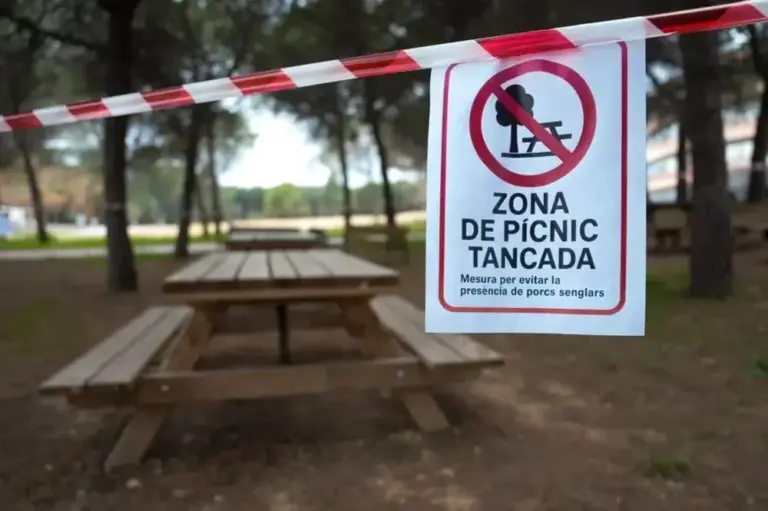 FOTOGRAFÍA. BELLATERRA (BARCELONA) CATALUÑA (REINO DE ESPAÑA), 07 DE DICIEMBRE DE 2025. Zonas de picnic de la Universidad Autónoma de Barcelona (UAB) cerradas tras un cartel alertando de la presencia de la peste porcina hallada en jabalíes autóctonos de la zona. Efe