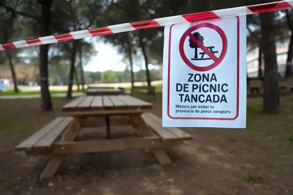 FOTOGRAFÍA. BELLATERRA (BARCELONA) CATALUÑA (REINO DE ESPAÑA), 07 DE DICIEMBRE DE 2025. Zonas de picnic de la Universidad Autónoma de Barcelona (UAB) cerradas tras un cartel alertando de la presencia de la peste porcina hallada en jabalíes autóctonos de la zona. Efe
