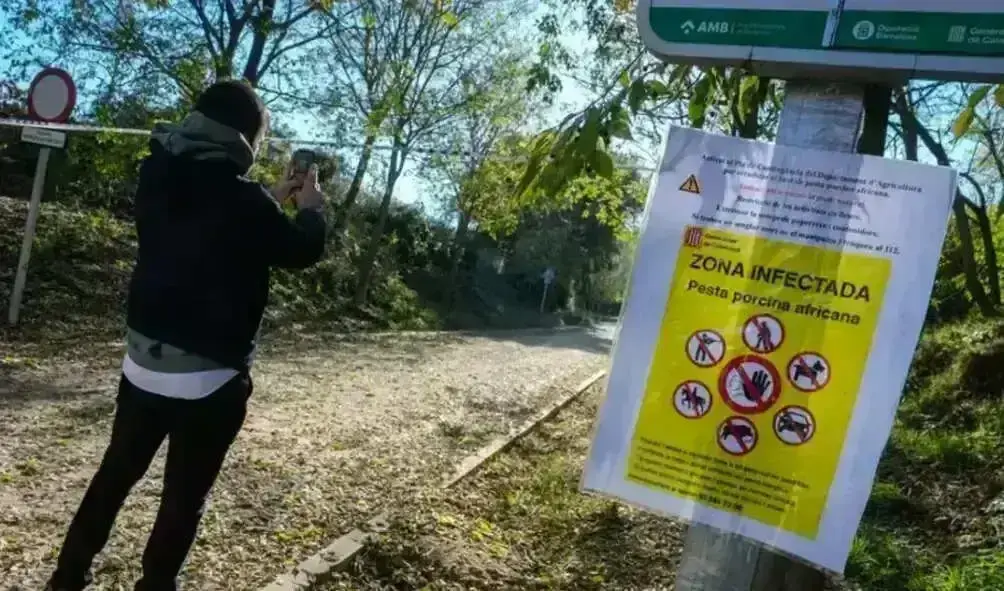 FOTOGRAFÍA. BELLATERRA (BARCELONA) CATALUÑA (REINO DE ESPAÑA), 07 DE DICIEMBRE DE 2025. Crisis Peste Porcina Cataluña. Aspecto de uno de los accesos al Parque Natural de Collserola alertando de la presencia de la peste porcina hallada en jabalíes autóctonos de la zona. Efe