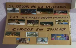 FOTOGRAFÍA. VALENCIA (COMUNIDAD VALENCIANA) ESPAÑA, 27 DE DICIEMBRE DE 2025. Los animalistas desafían la lluvia que azota la Comunidad Valenciana y la mayor parte del territorio nacional español y se plantan ante las instalaciones del Circ de Nadal porque "los animales utilizado no son payasos" y tampoco "su dolor no es una diversión", exigiendo, así mismo, unos circos navideños sin "jaulas" y sin animales maltratados (golpeados) para que estos seres, obligados a golpes, acaban obedeciendo y haciendo aquello que nunca harían si no fueran obligados y golpeados, denuncian los animalistas en sus carteles improvisados y en declaraciones a Lasvocesdelpueblo. Lasvocesdelpueblo (Ñ Pueblo)