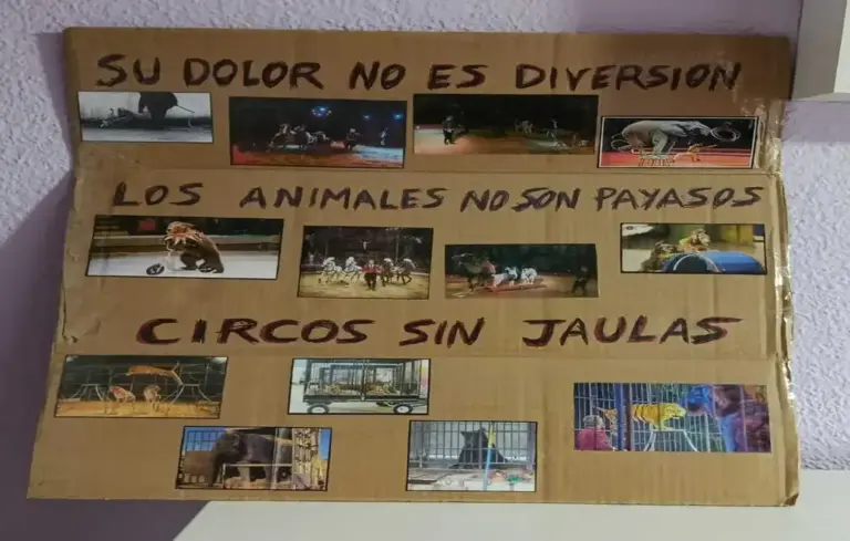 FOTOGRAFÍA. VALENCIA (COMUNIDAD VALENCIANA) ESPAÑA, 27 DE DICIEMBRE DE 2025. Los animalistas desafían la lluvia que azota la Comunidad Valenciana y la mayor parte del territorio nacional español y se plantan ante las instalaciones del Circ de Nadal porque "los animales utilizado no son payasos" y tampoco "su dolor no es una diversión", exigiendo, así mismo, unos circos navideños sin "jaulas" y sin animales maltratados (golpeados) para que estos seres, obligados a golpes, acaban obedeciendo y haciendo aquello que nunca harían si no fueran obligados y golpeados, denuncian los animalistas en sus carteles improvisados y en declaraciones a Lasvocesdelpueblo. Lasvocesdelpueblo (Ñ Pueblo)