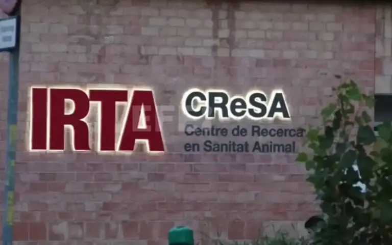 FOTOGRAFÍA. BARCELONA (CATALUÑA) REINO DE ESPAÑA, 05 DE DICIEMBRE DE 2025. Fachada del Centro de Investigación en Sanidad Animal (CReSA), laboratorio de salud animal localizado en el Campus de la Universidad Autónoma de Barcelona, en Bellaterra, a apenas un kilómetro de donde hace unos días aparecieron los primeros ejemplares de jabalíes muertos. El Servicio de Protección de la Naturaleza (Seprona) de la Guardia Civil y los Mossos d'Esquadra investigarán conjuntamente el origen del virus de la peste porcina africana (PPA) detectado en 13 jabalíes muertos en el entorno del parque natural de Collserola (Barcelona), después de que un informe señale la posibilidad de que la cepa proceda de un laboratorio. Efe