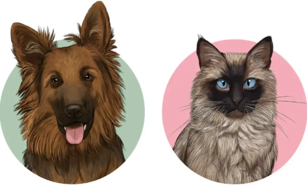 FOTOGRAFÍA. MADRID (REINO DE ESPAÑA), 19 DE DICIEMBRE DE 2025. Casi el 12% de veterinarios con pensamientos suicidas en España: Esta es una de las conclusiones del estudio "¿Qué está pasando con el sector veterinario?", sobre la salud mental del sector veterinario impulsado por Gosbi, la marca de alimentación y cuidado de perros y gatos comprometida con la calidad y el respeto animal, junto a Dynata, el mayor proveedor de datos propios a nivel mundial. Gosbi/Lasvocesdelpueblo (Ñ Pueblo)