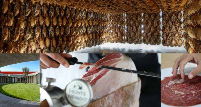 FOTOGRAFÍA. CARBONERO EL MAYOR (SEGOVIA) CASTILLA Y LEÓN (ESPAÑA), 05 DE ENERO DE 2026. Evolución y perspectivas sobre sostenibilidad en el sector porcino. En la imagen un cobo de fotografía sobre el mejor Jamón de Bellota 2018 y el mejor Jamón Serrano 2022. El Campus del Jamón Monte Nevado abre sus puestas al público para conocer, en una visita guiada, los secretos de la marca más premiada de alimentos de España (Premio al Mejor Jamón de Bellota 2018 y al Mejor Jamón Serrano 2022); una auténtica experiencia gastronómica en el corazón de unas espectaculares bodegas naturales: conozca, con un maestro jamonero, desde los secretos de la cría hasta los de la maduración, pasando por el proceso de selección, sus aromas y sabores; un ameno recorrido multisensorial, que incluye una degustación en una cata exclusiva, maridada con vino, de este gourmet de fama mundial. Campus del Jamón Monte Nevado/Lasvocesdelpueblo (Ñ Pueblo)