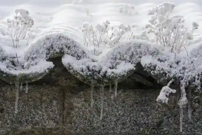 Frío con acumulados de nieve y lluvias este domingo FOTOGRAFÍA. MARTIHERRERO (ÁVILA) CASTILLA Y LEÓN (REINO DE ESPAÑA, 03 DE FEBRERO DE 2025. Carámbanos en un tejado nevado de la localidad abulense de Martiherrero a 12 kilómetros de la capital. Efe