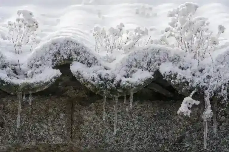 FOTOGRAFÍA. MARTIHERRERO (ÁVILA) CASTILLA Y LEÓN (REINO DE ESPAÑA, 03 DE FEBRERO DE 2025. Carámbanos en un tejado nevado de la localidad abulense de Martiherrero a 12 kilómetros de la capital. Efe