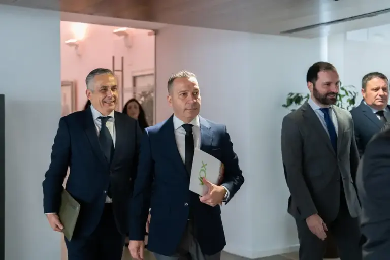 FOTOGRAFÍA. MÉRIDA (EXTREMADURA) ESPAÑA, 20 DE ENERO DE 2026. Los patriotas defienden cada voto con uñas y dientes en Extremadura. El portavoz del Grupo Parlamentario VOX en Extremadura, Óscar Fernández Calle, junto al senador de VOX por designación parlamentaria, Ángel Pelayo Gordillo, participaron hoy a la sesión constitutiva de la Asamblea de Extremadura. Lasvocesdelpueblo (Ñ Pueblo)