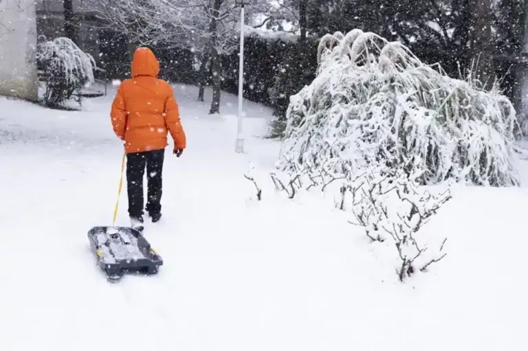 FOTOGRAFÍA. ALPEDRETE (COMUNIDAD DE MADRID) ESPAÑA, 28 DE ENERO DE 2026. Lluvias con ascenso generalizado de temperaturas el jueves. Una persona camina arrastrando un trineo en Alpedrete, municipio y localidad española de la Comunidad de Madrid. Efe