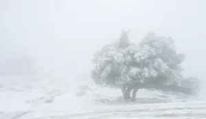 FOTOGRAFÍA. ANADALUCÍA (ESPAÑA), 24 DE ENERO DE 2026. Lluvias en buena parte del territorio nacional este domingo. Vista de una sierra andaluza tras una nevada. Efe