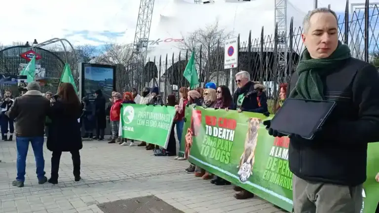 FOTOGRAFÍA. MADRID (ESPAÑA), 24 DE ENERO DE 2026. PACMA denuncia envenenamientos y matanzas de perros en Marruecos. Varias decenas de personas se han congregado hoy frente a la Institución Ferial de Madrid (IFMA) para denunciar los envenenamientos y matanzas de perros que continúan produciéndose en el país islamista magrebí de Marruecos. Lasvocesdelpueblo (Ñ Pueblo)