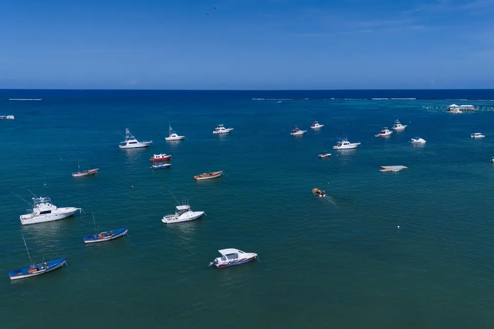 FOTOGRAFÍA. PUNTO CANA (REPÚBLICA DOMINICANA), 14 DE ENERO DE 2026. Denuncian agresiones sexuales con vejaciones de Julio Iglesias en Punta Cana. Imagen aérea que muestra una playa de Punta Cana (República Dominicana). Efe