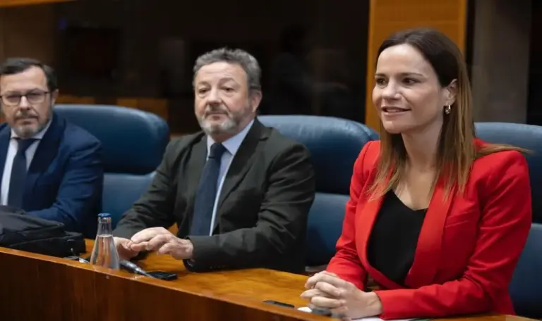 FOTOGRAFÍA. MADRID (COMUNIDAD DE MADRID) ESPAÑA, 12 DE FEBRERO DE 2026. La portavoz del Grupo Parlamentario de VOX en la Asamblea de Madrid y portavoz nacional de la Agenda España, Isabel La Buena (Isabel Pérez Moniño-Aranda) (d), participa este jueves en el pleno del parlamento regional madrileño. Lasvocesdelpueblo (Ñ Pueblo)