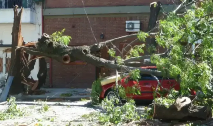 FOTOGRAFÍA. BARCELONA (CATALUÑA), 10 DE FEBRERO DE 2026. Cataluña en alerta extrema por rachas de viento de 108 km/h. Detalle de árbol caído en la Comunidad Autónoma de Cataluña. Lasvocesdelpueblo (Ñ Pueblo) 