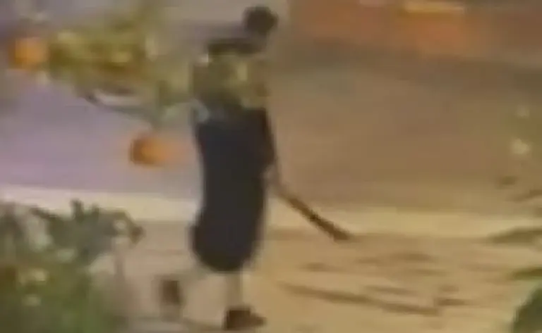 FOTOGRAFÍA. ALGECIRAS (ESPAÑA), 25 DE ENERO DE 2023. España absuelve al asesino islamista del sacristán de Algeciras. Imagen viral difundida en redes sociales, del inmigrante ilegal marroquí, Yasin Kanza (Yassine Kanjaa), este miércoles tras haber matado con una machete a un sacristán y herido a otras cuatro personas, entre ellas un sacerdote en la localidad gaditana de Algeciras, a gritos de «muerte a los cristianos» y «Ala es grande». Captura vídeo de testigos/Lasvocesdelpueblo (Ñ Pueblo)