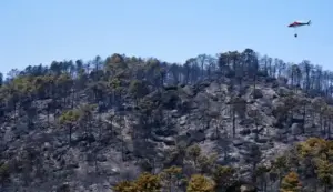 FOTOGRAFÍA. FECHA Y LUGAR RELACIONADOS CON EL CONTENIDO: MADRID (ESPAÑA), 27 DE JULIO D3 2026. Los incendios forestales han calcinado ya 172.396,10 hectáreas en España desde el inicio de 2026, una cifra que supone un incremento de casi 20.000 hectáreas en apenas un día y multiplica por cerca de seis la superficie afectada durante el mismo periodo del año pasado, cuando se habían registrado 29.817 hectáreas quemadas. Efe