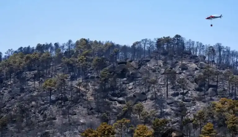 FOTOGRAFÍA. FECHA Y LUGAR RELACIONADOS CON EL CONTENIDO: MADRID (ESPAÑA), 27 DE JULIO D3 2026. Los incendios forestales han calcinado ya 172.396,10 hectáreas en España desde el inicio de 2026, una cifra que supone un incremento de casi 20.000 hectáreas en apenas un día y multiplica por cerca de seis la superficie afectada durante el mismo periodo del año pasado, cuando se habían registrado 29.817 hectáreas quemadas. Efe