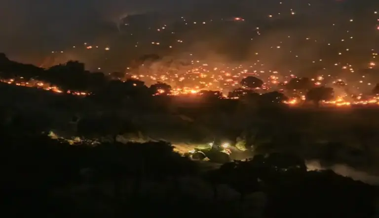 FOTOGRAFÍA. FECHA Y LUGAR RELACIONADOS CON EL CONTENIDO. Abascal sobre incendios forestales España: Pedro Sánchez es una plaga. Detalle de una imagen de Incendios Forestales España que muestra como un obrero decide rescatar un tractor agrícola por un sendero de tierra cuando las llamas aproximan por la derecha del camino no asfaltado. Los incendios forestales están devorando España, hasta ahora fuera de control en la Comunidad de Madrid y en la provincia de Ávila, en la Comunidad Autónoma de Castilla y León. X (@Santi_ABASCAL)/Lasvocesdelpueblo (Ñ Pueblo)