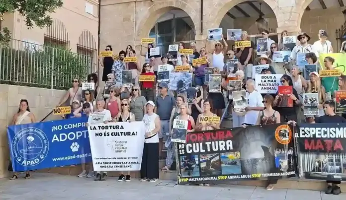 Activistas se manifiestan un año más contra los Bous a la mar de Dénia FOTOGRAFÍA. DÉNIA (COMUNIDAD VALENCIANA) ESPAÑA, 05 DE JULIO DE 2026. Activistas se manifiestan un año más contra los Bous a la mar de Dénia. El colectivo antiespecista Dénia Animal Save ha realizado la habitual manifestación en rechazo a los Bous a la mar que se celebran en el municipio, abriendo cada año la polémica por el uso de animales e incluso por fallecimientos de toros durante la celebración. Lasvocesdelpueblo (Ñ Pueblo)