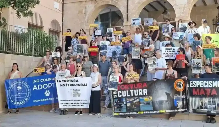 FOTOGRAFÍA. DÉNIA (COMUNIDAD VALENCIANA) ESPAÑA, 05 DE JULIO DE 2026. Activistas se manifiestan un año más contra los Bous a la mar de Dénia. El colectivo antiespecista Dénia Animal Save ha realizado la habitual manifestación en rechazo a los Bous a la mar que se celebran en el municipio, abriendo cada año la polémica por el uso de animales e incluso por fallecimientos de toros durante la celebración. Lasvocesdelpueblo (Ñ Pueblo)