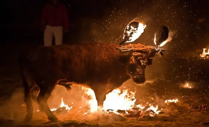 Antitaurina de Alfafar acusa a València Animal Save de sabotaje a la concentración antitaurina FOTOGRAFÍA. ALFAFAR (COMUNIDAD VALENCIANA) ESPAÑA, FECHA RELACIONADA CON EL CONTENIDO: 20 DE JULIO DE 2026. La plataforma Antitaurina de Alfafar ha acusado públicamente a las nuevas personas que desde hace un tiempo están coordinando València Animal Save de sabotear la protesta contra la tauromaquia que esta entidad realiza frente al Ayuntamiento de Alfafar a las 18:45 del próximo 1 de agosto de 2026. Lasvocesdelpueblo (Ñ Pueblo)