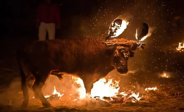 FOTOGRAFÍA. ALFAFAR (COMUNIDAD VALENCIANA) ESPAÑA, FECHA RELACIONADA CON EL CONTENIDO: 20 DE JULIO DE 2026. La plataforma Antitaurina de Alfafar ha acusado públicamente a las nuevas personas que desde hace un tiempo están coordinando València Animal Save de sabotear la protesta contra la tauromaquia que esta entidad realiza frente al Ayuntamiento de Alfafar a las 18:45 del próximo 1 de agosto de 2026. Lasvocesdelpueblo (Ñ Pueblo)