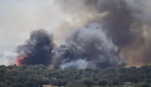FOTOGRAFÍA. LA BISBAL D'EMPORDÀ (GERONA) CATALUÑA (ESPAÑA), 03 DE JULIO DE 2026. Confinadas 12.000 personas por incendio sin control en Gerona. Detalle de una columna de humo del incendio forestal que se ha declarado en La Bisbal d'Empordà (Gerona). Efe